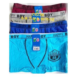 Труси дитячі на хлопчика C8239 mix р.5-12 "Redoor" недорого оптом від прямого постачальника
