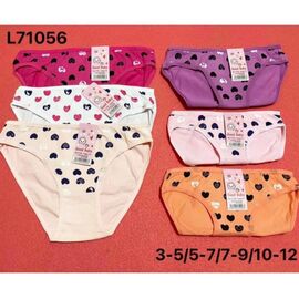 Труси дитячі на дівчинку L71056 mix р.5-12 "Redoor" недорого оптом від прямого постачальника