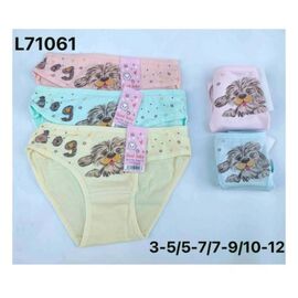 Труси дитячі на дівчинку L71061 mix р.5-12 "Redoor" недорого оптом від прямого постачальника