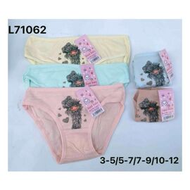 Труси дитячі на дівчинку L71062 mix р.5-12 "Redoor" недорого оптом від прямого постачальника