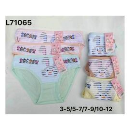Труси дитячі на дівчинку L71065 mix р.5-12 "Redoor" недорого оптом від прямого постачальника