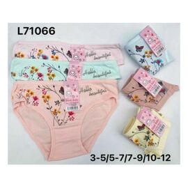 Труси дитячі на дівчинку L71066 mix р.5-12 "Redoor" недорого оптом від прямого постачальника