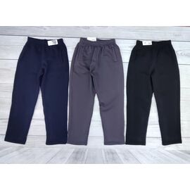 Штани спортивні чоловічі утеплені 502 grey р.48-56 "Imlion" недорого оптом від прямого постачальника