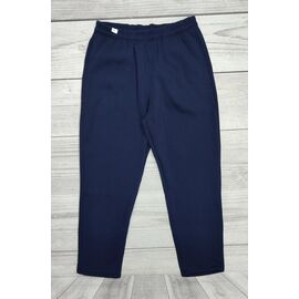 Фотография Штаны спортивные мужские утеплённые 1900 blue р.58-66 "Imlion" недорого оптом от прямого поставщика