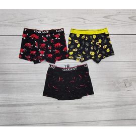 Фотография Трусы мужские 310 mix р.48-56 "Imlion" недорого оптом от прямого поставщика