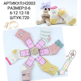 Шкарпетки дитячі теплі на дівчинку H2003 mix р.0-1.6 "Redoor" недорого оптом від прямого постачальника