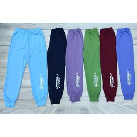 Штани спортивні жіночі 44048 purple р.48-56 "Imlion" недорого оптом від прямого постачальника