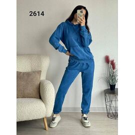 Костюм спортивний жіночий теплий 2014 blue р.48-54 "FSN" недорого оптом від прямого постачальника