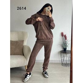 Костюм спортивний жіночий теплий 2014 brown р.48-54 "FSN" недорого оптом від прямого постачальника