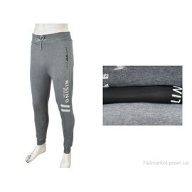 Спортивні штани чоловічі Зима 4283-1008 mix (12 шт. р.сіткаL-3XL) "Мир" недорого оптом від прямого постачальника