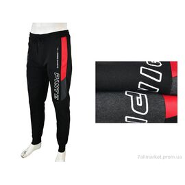 Спортивні штани чоловічі Зима 4283-6128 mix (12 шт. р.сіткаL-3XL) "Мир" недорого оптом від прямого постачальника