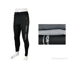 Спортивні штани чоловічі Зима 4283-1002 mix (12 шт. р.сіткаL-3XL) "Pryama Vigoda" недорого оптом від прямого постачальника
