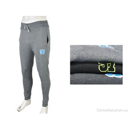 Спортивні штани чоловічі Зима 4283-1003 mix (12 шт. р.сіткаL-3XL) "Pryama Vigoda" недорого оптом від прямого постачальника