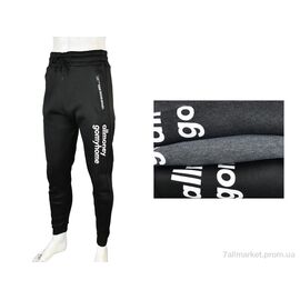Спортивні штани чоловічі Зима 4283-1005 mix (12 шт. р.сіткаL-3XL) "Pryama Vigoda" недорого оптом від прямого постачальника