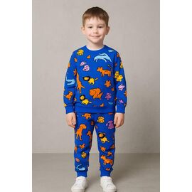 Піжама дитяча тепла на хлопчика FK1532 blue р.9-12 "Fili kids" недорого оптом від прямого постачальника