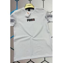 Фотография Футболка мужская 13089 white р.S-2XL "Alex Clothes" недорого оптом от прямого поставщика