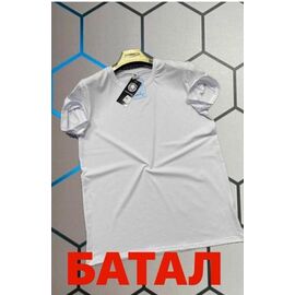 Фотография Футболка мужская 13122 white р.2XL-6XL "Alex Clothes" недорого оптом от прямого поставщика