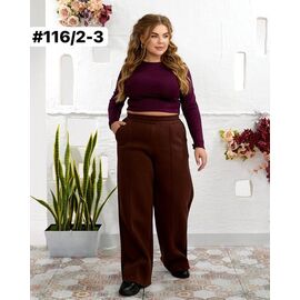 Штани спортивні жіночі теплі 116-2 brown р.48-52 "FIESTA" недорого оптом від прямого постачальника