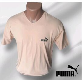 Футболка чоловіча 6953 beige р.M-2XL "ROLADA" недорого оптом від прямого постачальника