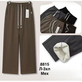Штани спортивні жіночі теплі 8815 mix р.L-3XL "WELL" недорого оптом від прямого постачальника