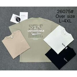 Футболка чоловіча 26075 mint р.L-4XL "2BRO" недорого оптом від прямого постачальника