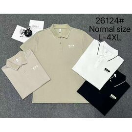 Футболка чоловіча 26124 black р.L-4XL "2BRO" недорого оптом від прямого постачальника