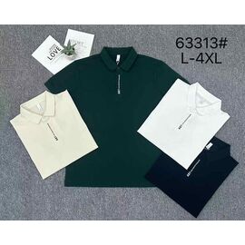 Футболка чоловіча 63313 white р.L-4XL "2BRO" недорого оптом від прямого постачальника