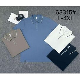 Футболка чоловіча 63315 l.blue р.L-4XL "2BRO" недорого оптом від прямого постачальника