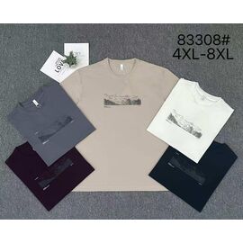 Футболка чоловіча 83308 white р.4XL-8XL "2BRO" недорого оптом від прямого постачальника