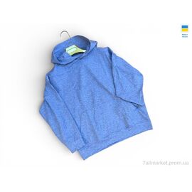 Фотография Кофта женская Весна/осень 115 св.сірий (4 шт. р.сетка S-XL) "Sport style" недорого оптом от прямого поставщика