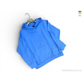 Фотография Кофта женская Весна/осень 115 блакитний (4 шт. р.сетка S-XL) "Sport style" недорого оптом от прямого поставщика