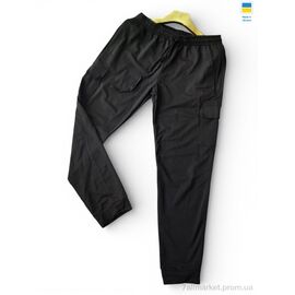 Спортивні штани чоловічі Весна/осінь 10145 чорний (4 шт. р.сітка2XL-5XL) "Sport style" недорого оптом від прямого постачальника