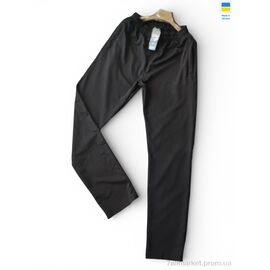 Спортивні штани чоловічі Весна/осінь 10130 чорний (4 шт. р.сітка2XL-5XL) "Sport style" недорого оптом від прямого постачальника