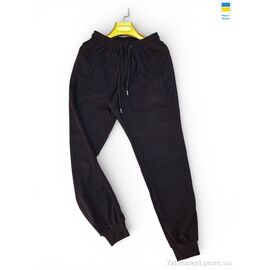 Спортивні штани чоловічі Весна/осінь 02Pu  чорний (5 шт. р.сітка46-54) "Sport style" недорого оптом від прямого постачальника