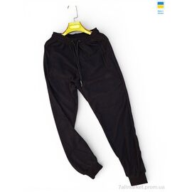 Спортивні штани чоловічі Весна/осінь 02Ad чорний дубль (5 шт. р.сітка46-54) "Sport style" недорого оптом від прямого постачальника