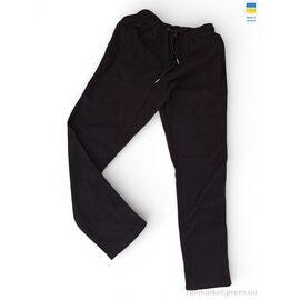 Спортивні штани чоловічі Весна/осінь 02-1Pu  чорний (5 шт. р.сітка46-54) "Sport style" недорого оптом від прямого постачальника
