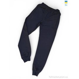 Спортивні штани чоловічі Весна/осінь 02Pu т.синій (5 шт. р.сітка46-54) "Sport style" недорого оптом від прямого постачальника