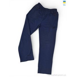 Спортивні штани чоловічі Весна/осінь 10Ni синій (5 шт. р.сітка56-64) "Sport style" недорого оптом від прямого постачальника