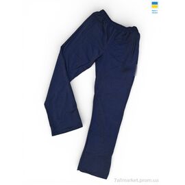 Спортивні штани чоловічі Весна/осінь 20Ni синій (5 шт. р.сітка50-58) "Sport style" недорого оптом від прямого постачальника