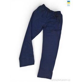 Спортивні штани чоловічі Весна/осінь 20Pu синій (5 шт. р.сітка50-58) "Sport style" недорого оптом від прямого постачальника