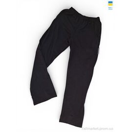 Спортивні штани чоловічі Весна/осінь 20Ni чорний (5 шт. р.сітка50-58) "Sport style" недорого оптом від прямого постачальника