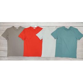 Футболка чоловіча 1001-2 mint р.48-56 "Samo" недорого оптом від прямого постачальника