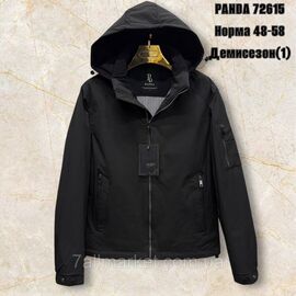 Куртка чоловіча демісезонна з капюшоном р-ри 48-58 (4кол) "SKAY" недорого від прямого постачальника