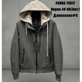 Куртка чоловіча демісезонна з капюшоном р-ри 48-58 (5кол) "SKAY" недорого від прямого постачальника