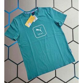 Фотография Футболка мужская 13208 l.blue р.S-2XL "Alex Clothes" недорого оптом от прямого поставщика