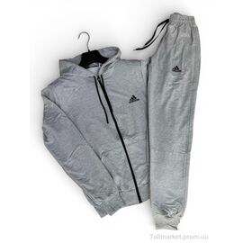 Фотография Спортивный костюм мужской Весна/осень 02Ad св.сірий (4 шт. р.сетка M-2XL) "Sport style" недорого оптом от прямого поставщика