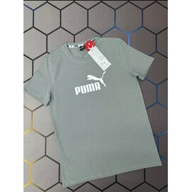 Фотография Футболка мужская 13321 mint р.S-2XL "Alex Clothes" недорого оптом от прямого поставщика