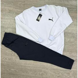 Фотография Костюм спортивный мужской MW217-241-90 white-d.grey р.M-3XL "MirWear" недорого оптом от прямого поставщика