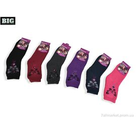 Фотография Носки женские Зима 8313 mix (12 шт. р.сетка 37-41) "BIG" недорого оптом от прямого поставщика