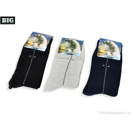 Шкарпетки для чоловіків Зима 5016 mix (10 шт. р.сітка40-44) "BIG" недорого оптом від прямого постачальника